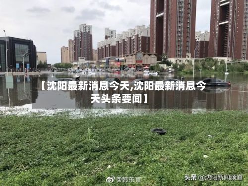 【沈阳最新消息今天,沈阳最新消息今天头条要闻】-第2张图片