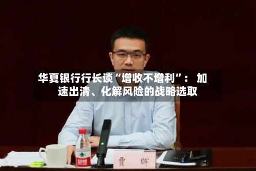 华夏银行行长谈“增收不增利”： 加速出清、化解风险的战略选取