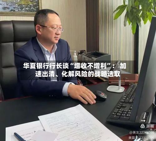 华夏银行行长谈“增收不增利	”： 加速出清、化解风险的战略选取-第2张图片