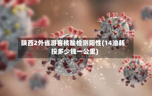 陕西2外省游客核酸检测阳性(14油耗投多少钱一公里)