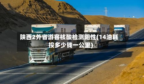 陕西2外省游客核酸检测阳性(14油耗投多少钱一公里)-第2张图片