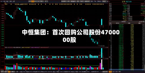 中恒集团：首次回购公司股份4700000股-第2张图片