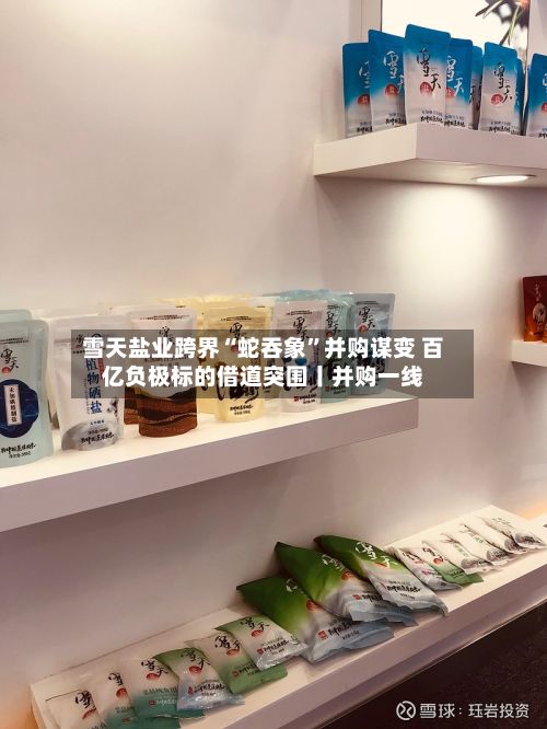 雪天盐业跨界“蛇吞象”并购谋变 百亿负极标的借道突围丨并购一线-第2张图片