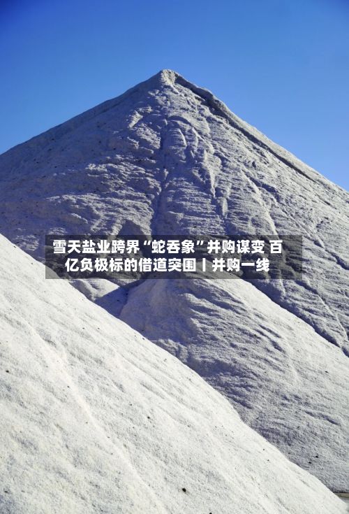 雪天盐业跨界“蛇吞象	”并购谋变 百亿负极标的借道突围丨并购一线-第3张图片