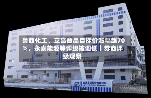 鲁西化工、立高食品目标价涨幅超70%，永泰能源等评级被调低丨券商评级观察-第3张图片