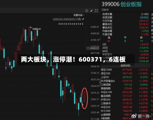 两大板块	，涨停潮！600371，6连板-第2张图片