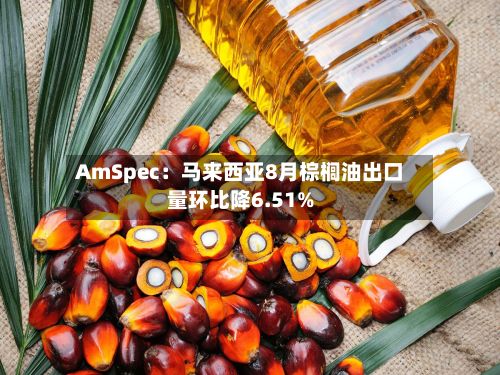 AmSpec：马来西亚8月棕榈油出口量环比降6.51%