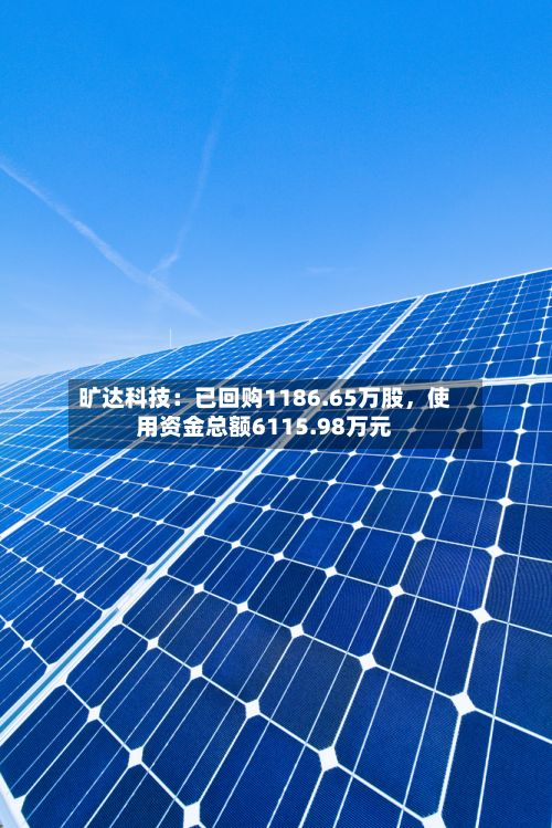 旷达科技：已回购1186.65万股，使用资金总额6115.98万元-第2张图片