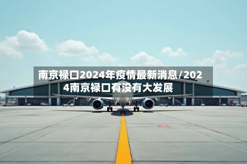南京禄口2024年疫情最新消息/2024南京禄口有没有大发展-第2张图片