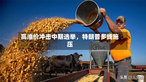 高油价冲击中期选举，特朗普多线施压-第2张图片