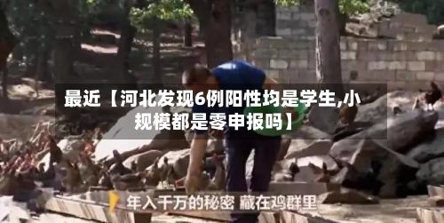 最近【河北发现6例阳性均是学生,小规模都是零申报吗】-第2张图片