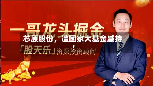 芯原股份，遭国家大基金减持！-第2张图片