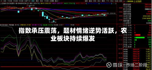 指数承压震荡，题材情绪逆势活跃	，农业板块持续爆发-第3张图片
