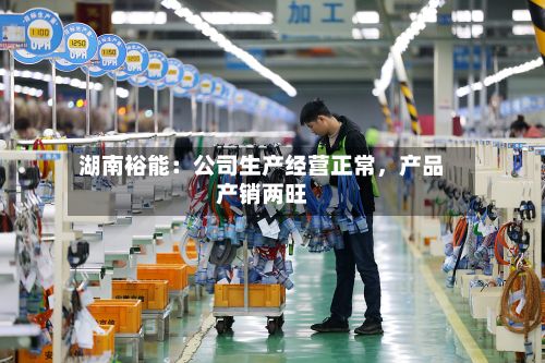 湖南裕能：公司生产经营正常，产品产销两旺-第2张图片