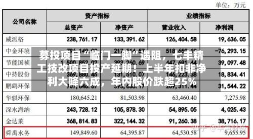 募投项目“临门一脚”遇阻，七丰精工技改项目投产延期！上半年扣非净利大降六成，年内股价跌超25%