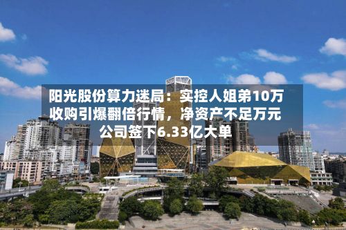 阳光股份算力迷局：实控人姐弟10万收购引爆翻倍行情，净资产不足万元公司签下6.33亿大单-第2张图片