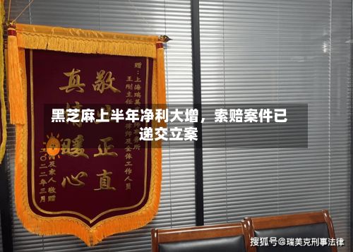 黑芝麻上半年净利大增，索赔案件已递交立案-第2张图片