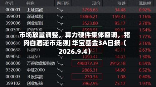 市场放量调整，算力硬件集体回调	，猪肉白酒逆市走强| 华宝基金3A日报（2026.9.4）-第1张图片