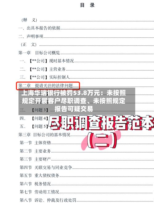 上海华瑞银行被罚53.8万元：未按照规定开展客户尽职调查、未按照规定报告可疑交易-第2张图片