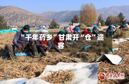 “千年药乡”甘肃开“仓	”迎客-第3张图片