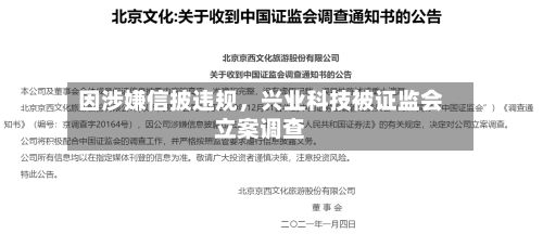因涉嫌信披违规，兴业科技被证监会立案调查-第3张图片