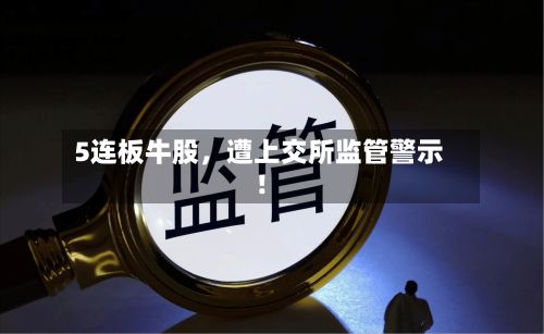 5连板牛股，遭上交所监管警示！-第2张图片