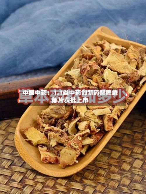 中国中药:1.1类中药创新药醒脾解郁片获批上市