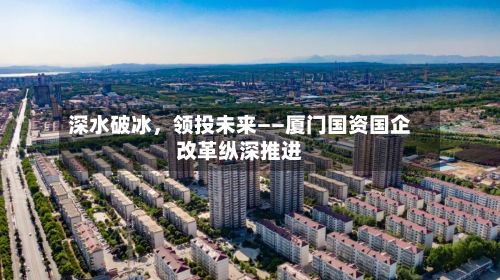 深水破冰，领投未来——厦门国资国企改革纵深推进-第2张图片