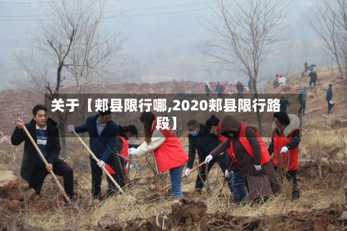 关于【郏县限行哪,2020郏县限行路段】-第2张图片