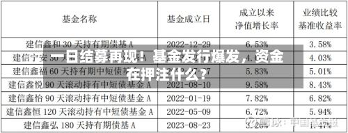 一日结募再现！基金发行爆发，资金在押注什么？-第2张图片