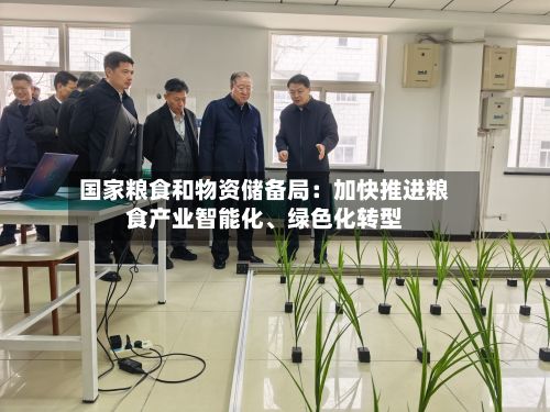 国家粮食和物资储备局：加快推进粮食产业智能化	、绿色化转型-第2张图片