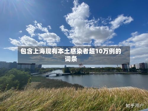 包含上海现有本土感染者超10万例的词条