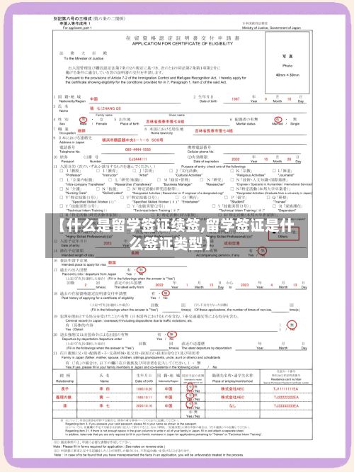 【什么是留学签证续签,留学签证是什么签证类型】-第3张图片