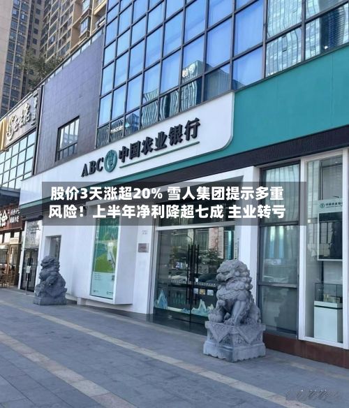 股价3天涨超20% 雪人集团提示多重风险!上半年净利降超七成 主业转亏