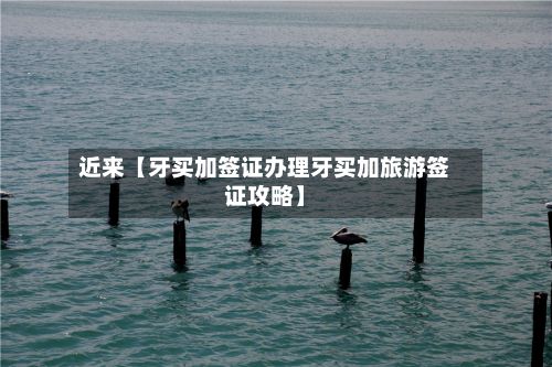 近来【牙买加签证办理牙买加旅游签证攻略】