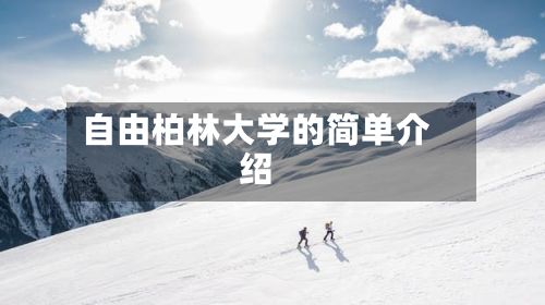 自由柏林大学的简单介绍