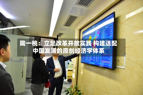 陶一桃:立足改革开放实践 构建适配中国发展的原创经济学体系-第3张图片