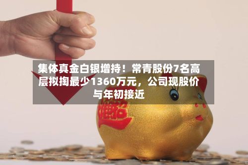 集体真金白银增持！常青股份7名高层拟掏最少1360万元，公司现股价与年初接近-第2张图片