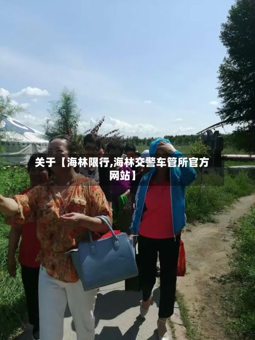 关于【海林限行,海林交警车管所官方网站】-第2张图片