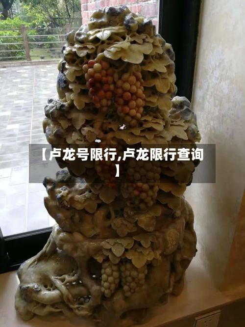 【卢龙号限行,卢龙限行查询】