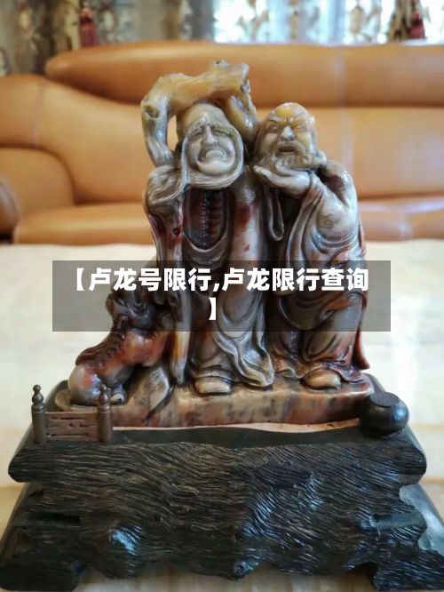 【卢龙号限行,卢龙限行查询】-第2张图片