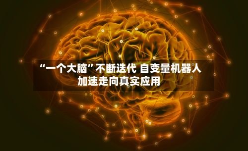 “一个大脑”不断迭代 自变量机器人加速走向真实应用-第2张图片