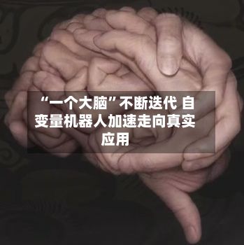 “一个大脑”不断迭代 自变量机器人加速走向真实应用-第3张图片