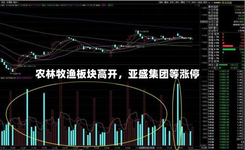 农林牧渔板块高开,亚盛集团等涨停