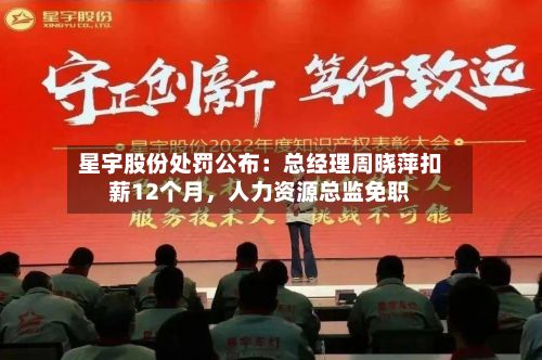 星宇股份处罚公布：总经理周晓萍扣薪12个月	，人力资源总监免职-第2张图片