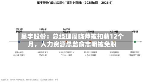 星宇股份：总经理周晓萍被扣薪12个月，人力资源总监俞志明被免职-第2张图片