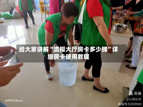 给大家讲解“流樱大厅房卡多少钱”详细房卡使用教程-第2张图片
