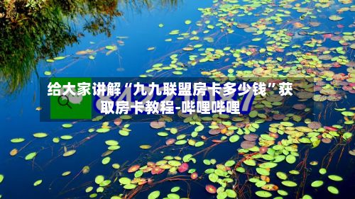 给大家讲解“九九联盟房卡多少钱”获取房卡教程-哔哩哔哩-第2张图片
