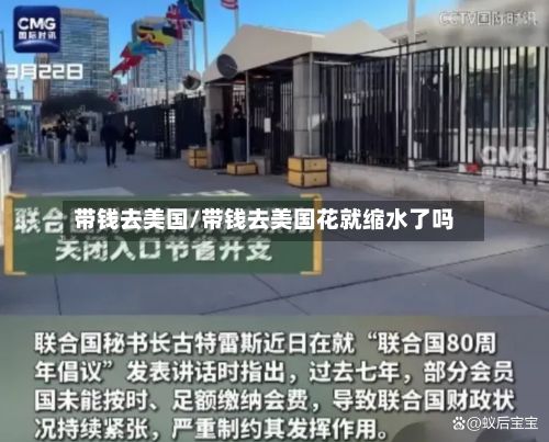 带钱去美国/带钱去美国花就缩水了吗