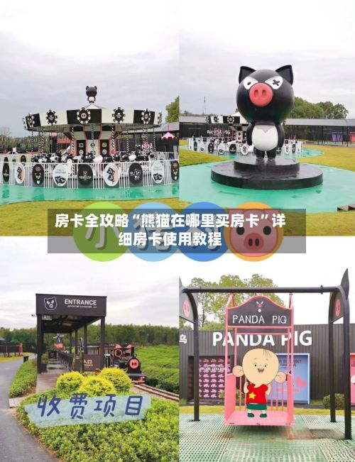 房卡全攻略“熊猫在哪里买房卡”详细房卡使用教程-第2张图片